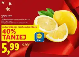 Lidl Cytryny, luzem oferta
