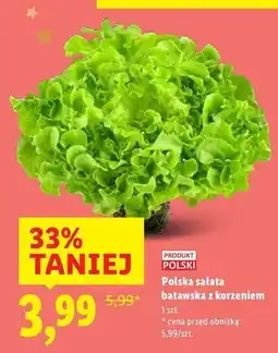 Lidl Sałata batawska oferta