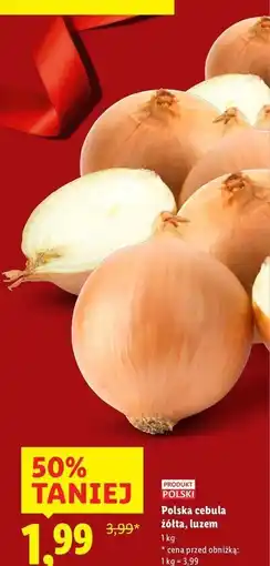 Lidl Cebula żółta polska oferta