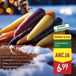 ALDI Marchew kolorowa oferta