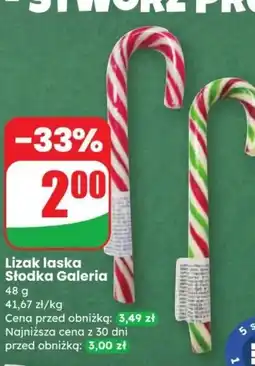 Dino Lizak laska słodka Galeria oferta