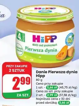 Dino Danie Pierwsza dynia Hipp oferta
