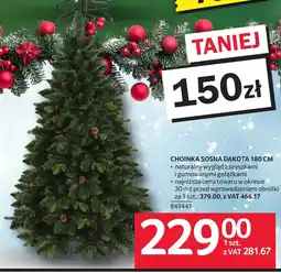 Selgros Choinka Dakota oferta