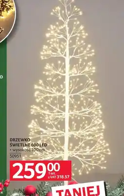 Selgros Drzewko oferta