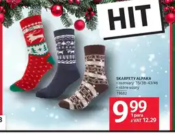 Selgros Skarpety Hit oferta