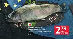 Selgros Pstrąg tęczowy oferta