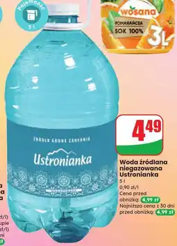 Dino Woda niegazowana Ustronianka oferta