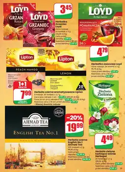 Dino Grzaniec kozacki z miodem Loyd Tea oferta