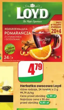 Dino Herbata rozgrzewająca pomarańcza z cynamonem i goździkami Loyd Tea The Magic Experience oferta