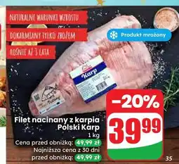 Dino Karp filet nacinany Polski oferta