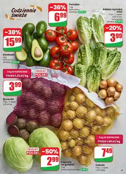 Dino Pomidory oferta