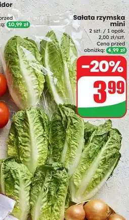 Dino Sałata rzymska mini oferta