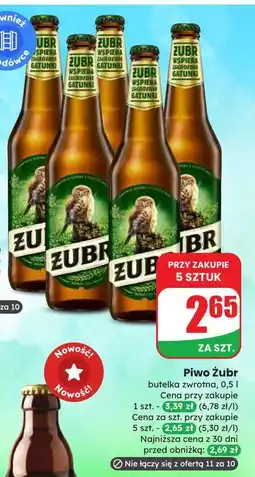Dino Piwo Żubr 1768 oferta