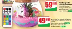 Dino Terrarium podświetlane oferta