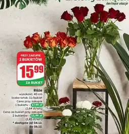 Dino Róże 40 cm oferta