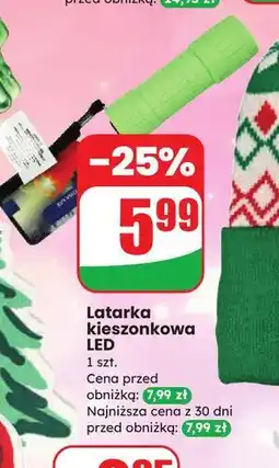 Dino Latarka kieszonkowa oferta
