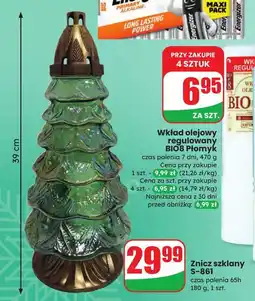 Dino Znicz choinka oferta