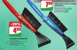 Dino Szczotka - skrobaczka oferta