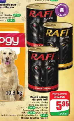 Dino Karma dla psa z wołowiną Rafi Classic oferta