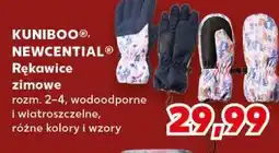 Kaufland Rękawice 2-4 lata Kuniboo oferta