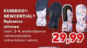 Kaufland Rękawice 2-4 lata Kuniboo oferta