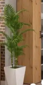 Black Red White regał Multido oferta