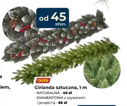 Mrówka Girlanda oferta
