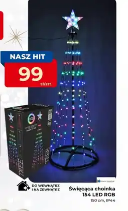 Mrówka Choinka Hit oferta