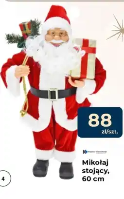 Mrówka Mikołaj K! oferta