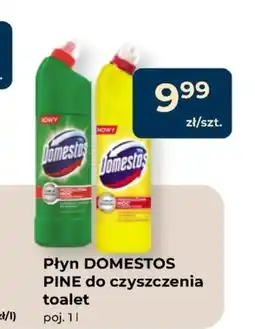Mrówka Płyn do toalet Domestos oferta