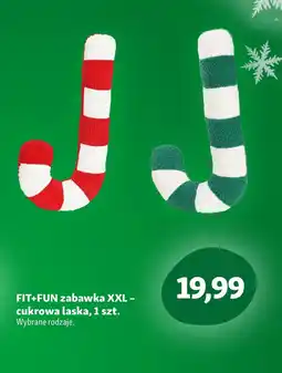 Maxi Zoo Zabawka dla psa oferta