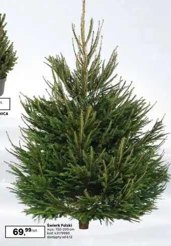 Leroy Merlin Świerk Polski oferta