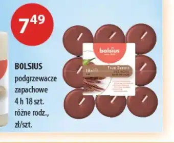 Drogerie Laboo Podgrzewacze bezzapachowe Bolsius oferta