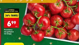 Biedronka Pomidory na gałązce na wagę Biedronka oferta