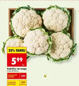 Biedronka Kalafior na wagę Biedronka oferta