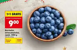 Biedronka Borówka amerykańska, opak. 300 g Biedronka oferta