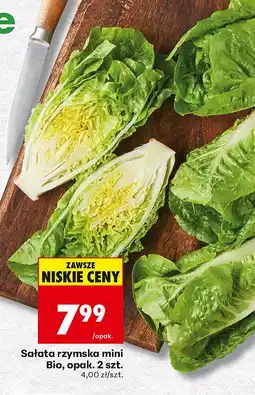 Biedronka Sałata rzymska mini Bio 2 szt. Go Bio oferta