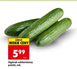 Biedronka Ogórek szklarniowy polski, 1 szt. Biedronka oferta