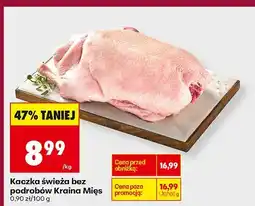 Biedronka Kaczka świeża bez podrobów Kraina Mięs oferta