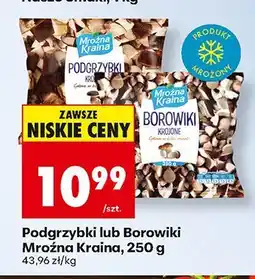 Biedronka Podgrzybki 250 g Mroźna Kraina oferta