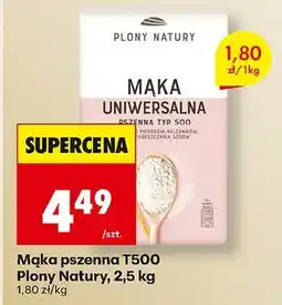 Biedronka Mąka pszenna T500, 2,5 kg Plony Natury oferta