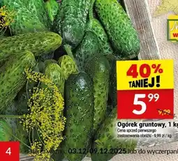 Twój Market Ogórek gruntowy, 1 kg Najlepsze Wielkopolski oferta
