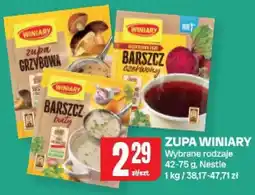 Chorten Zupa Winiary Nestle oferta