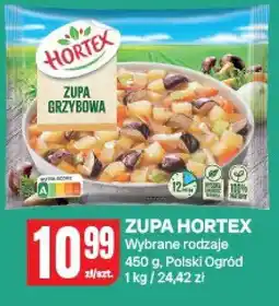Chorten Zupa Hortex Polski Ogród oferta