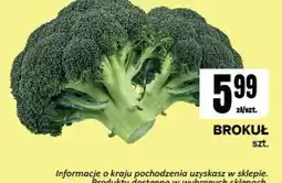 Chorten Brokuł Chorten oferta