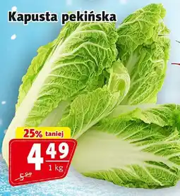 Prim Market Kapusta Kapusta pekińska Prim Market oferta