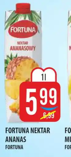 MOKPOL FORTUNA NEKTAR oferta