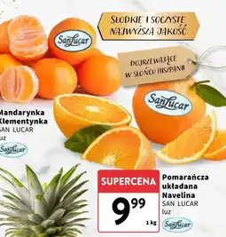 Intermarche Pomarańcza układana Navelina SAN LUCAR luz oferta