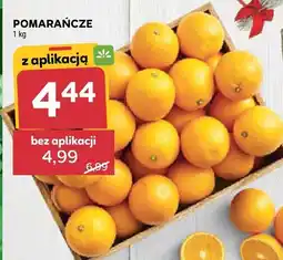 Stokrotka Pomarańcze Stokrotka oferta
