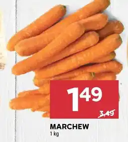 Stokrotka Marchew Stokrotka oferta
